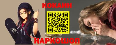 гашик Кингисепп