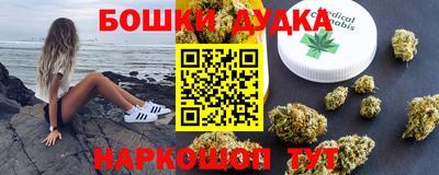 гашик Кингисепп