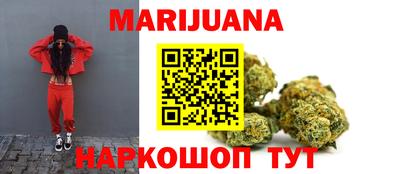 гашик Кингисепп