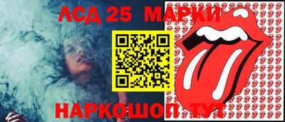гашик Кингисепп