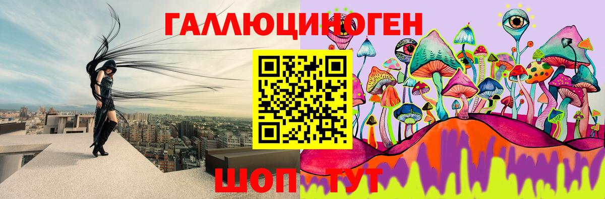 Черняховск  Псилоцибиновые грибы MAGIC MUSHROOMS  Вход с VPN  Галлюциногенные грибы прущие грибы 